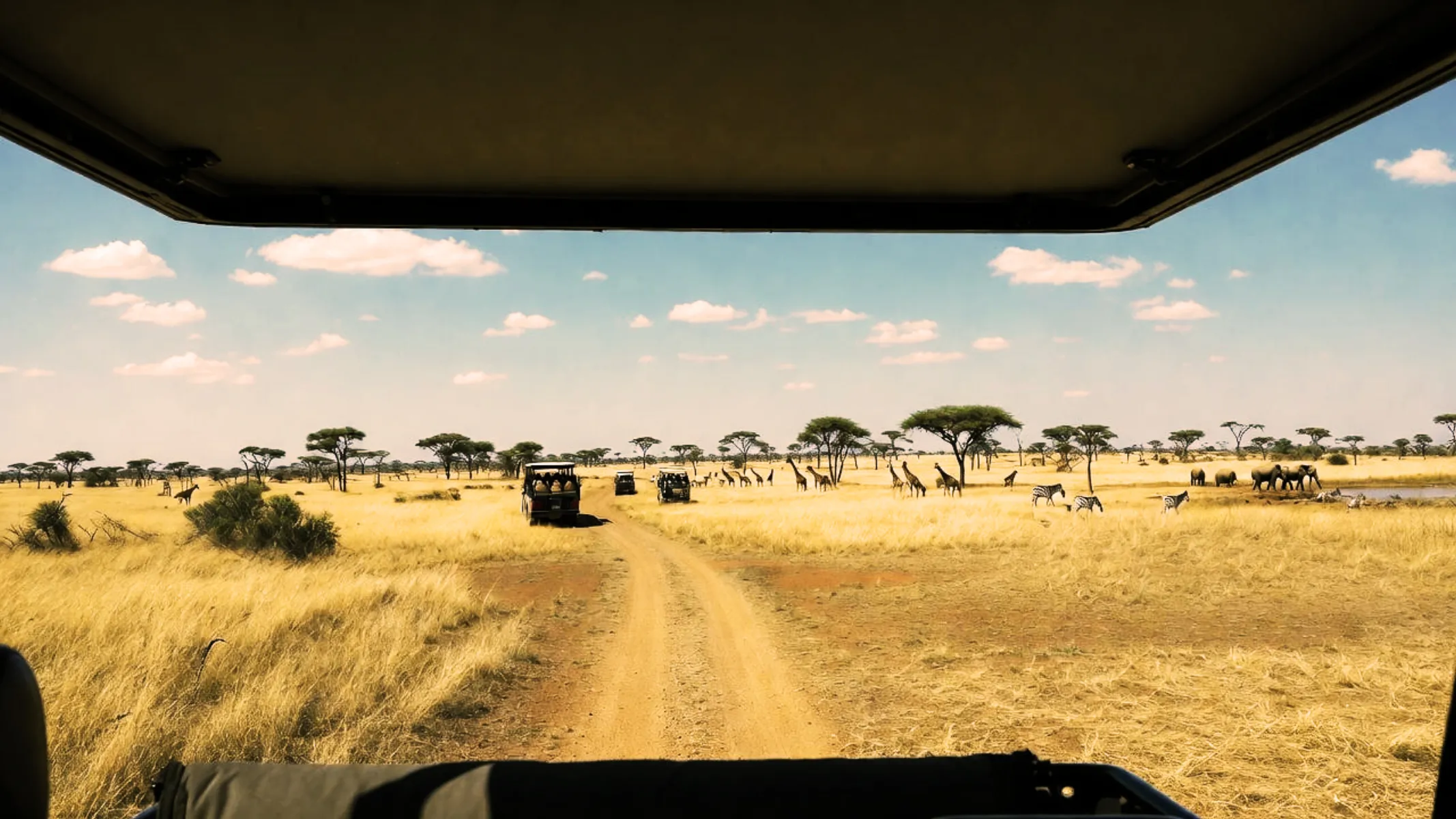 Afrika'da Safari Nasıl Yapılır?