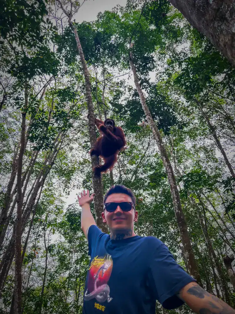 Borneo'da Orangutan Avcılığı: Sabah'ta Yaşayan Deneyim