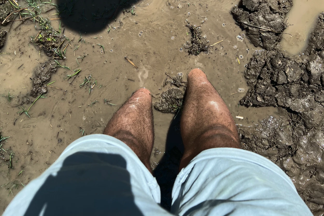 Yavaş ve Gerçek Gez