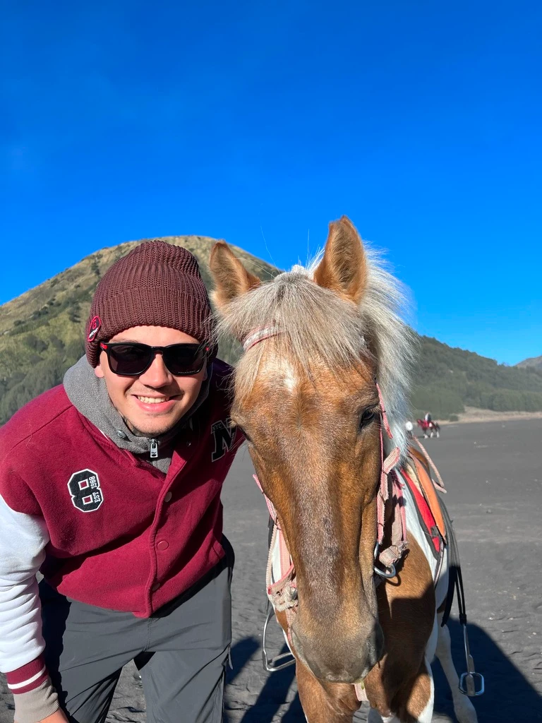 Hayvanları Rahat Bırak