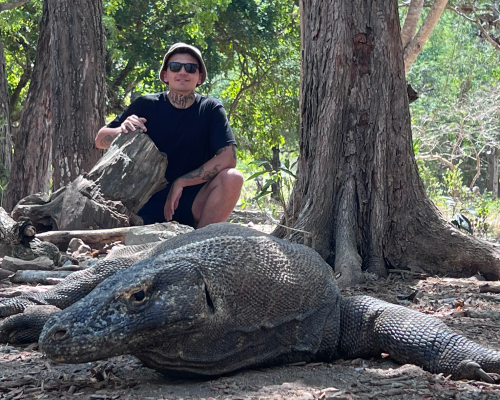 Komodo Adaları - Ejderhalarla Yüz Yüze